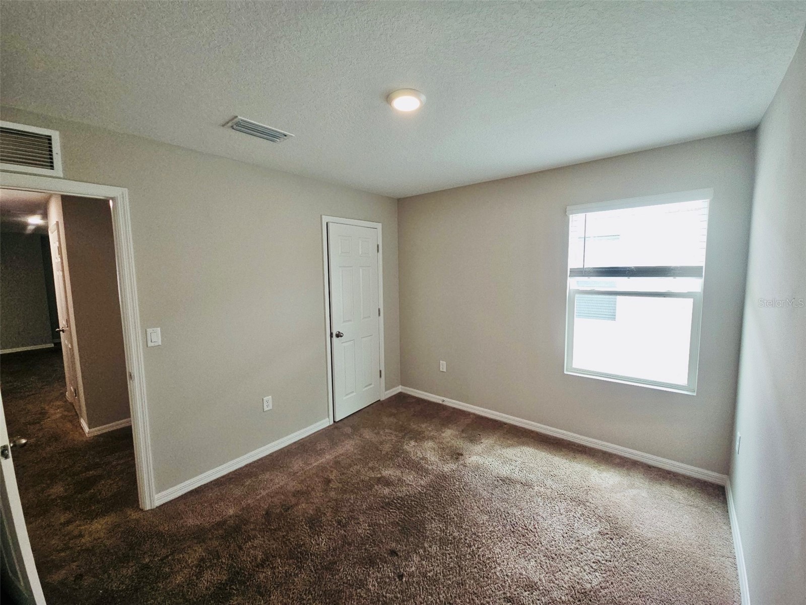 34436 Moonflower Avenue Wesley Chapel FL 33545 TB8508473 image8