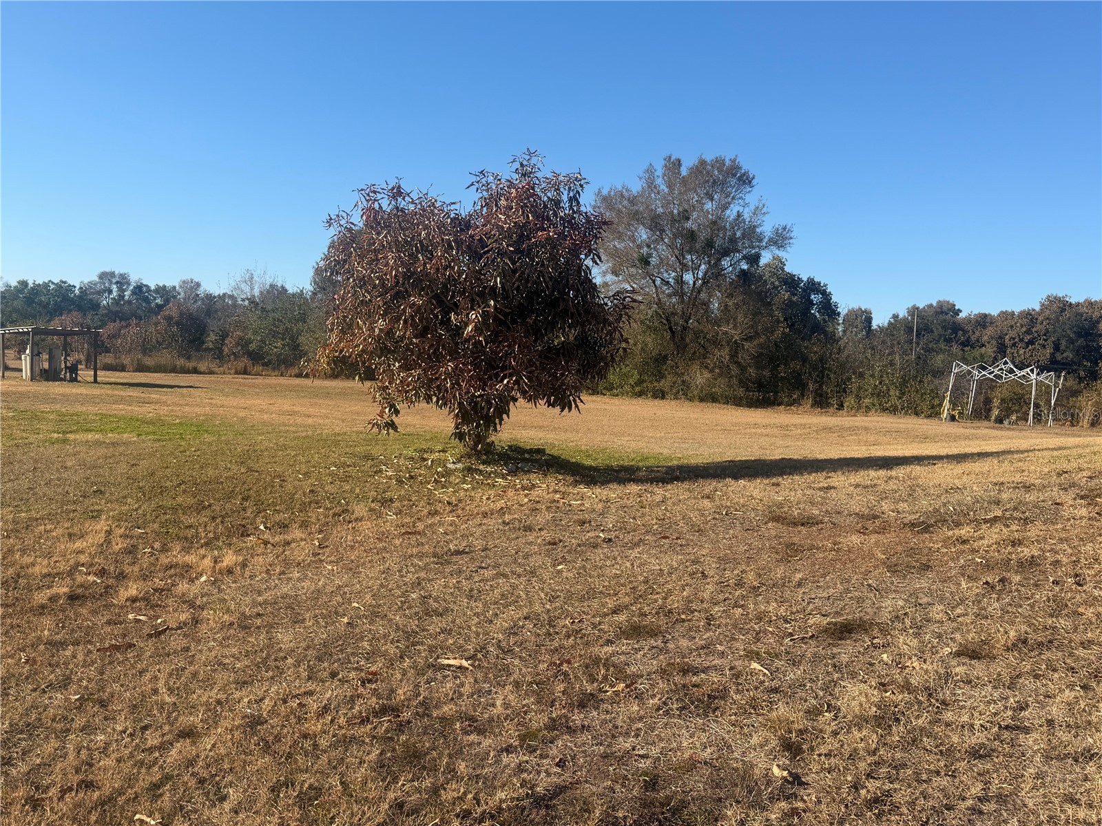 3444 Packard Avenue Saint Cloud FL 34772 S5143022 image6