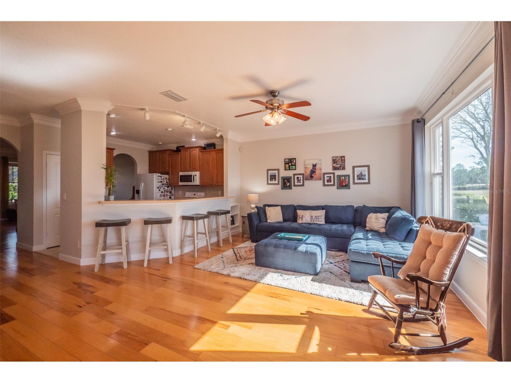 34442 Tuscany Avenue Sorrento FL 32776 O6376068 image13
