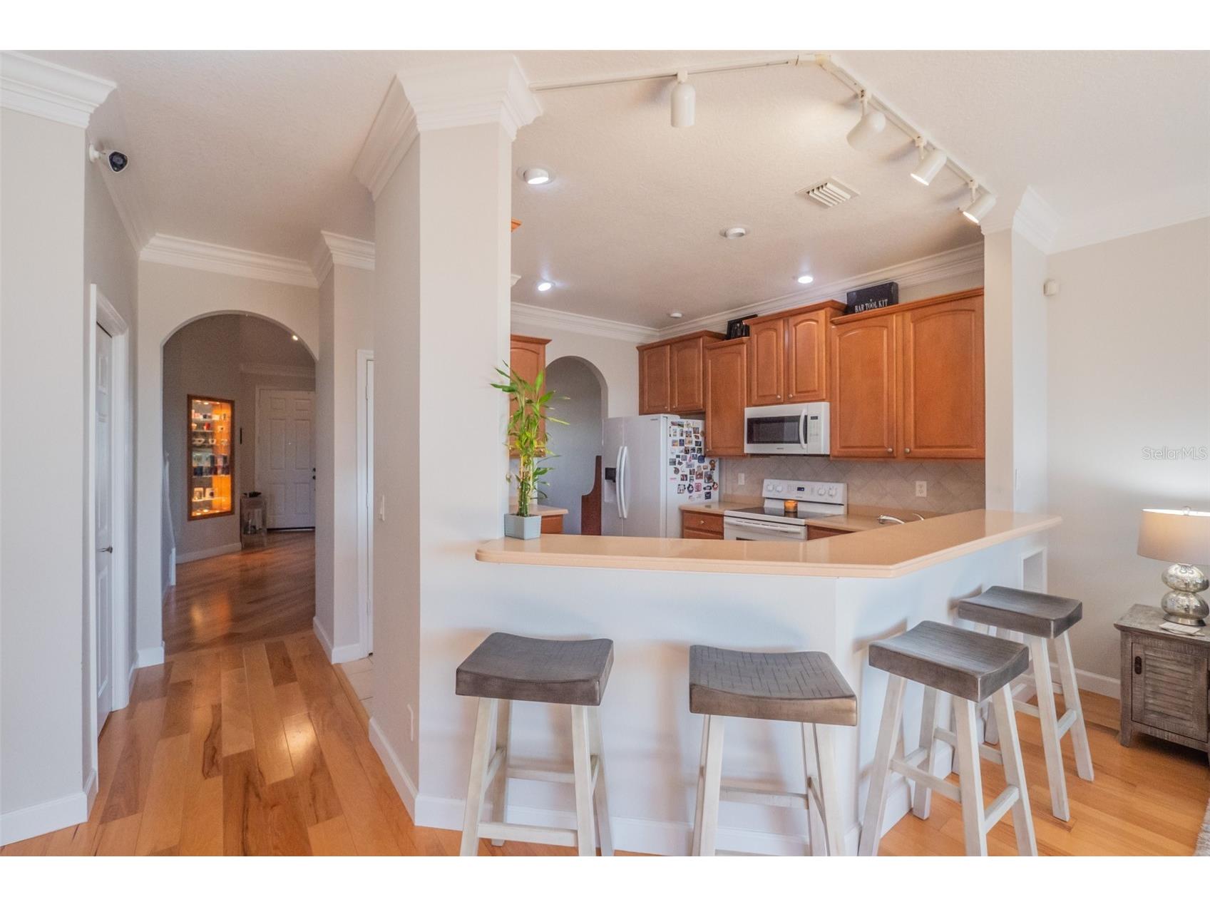 34442 Tuscany Avenue Sorrento FL 32776 O6376068 image15