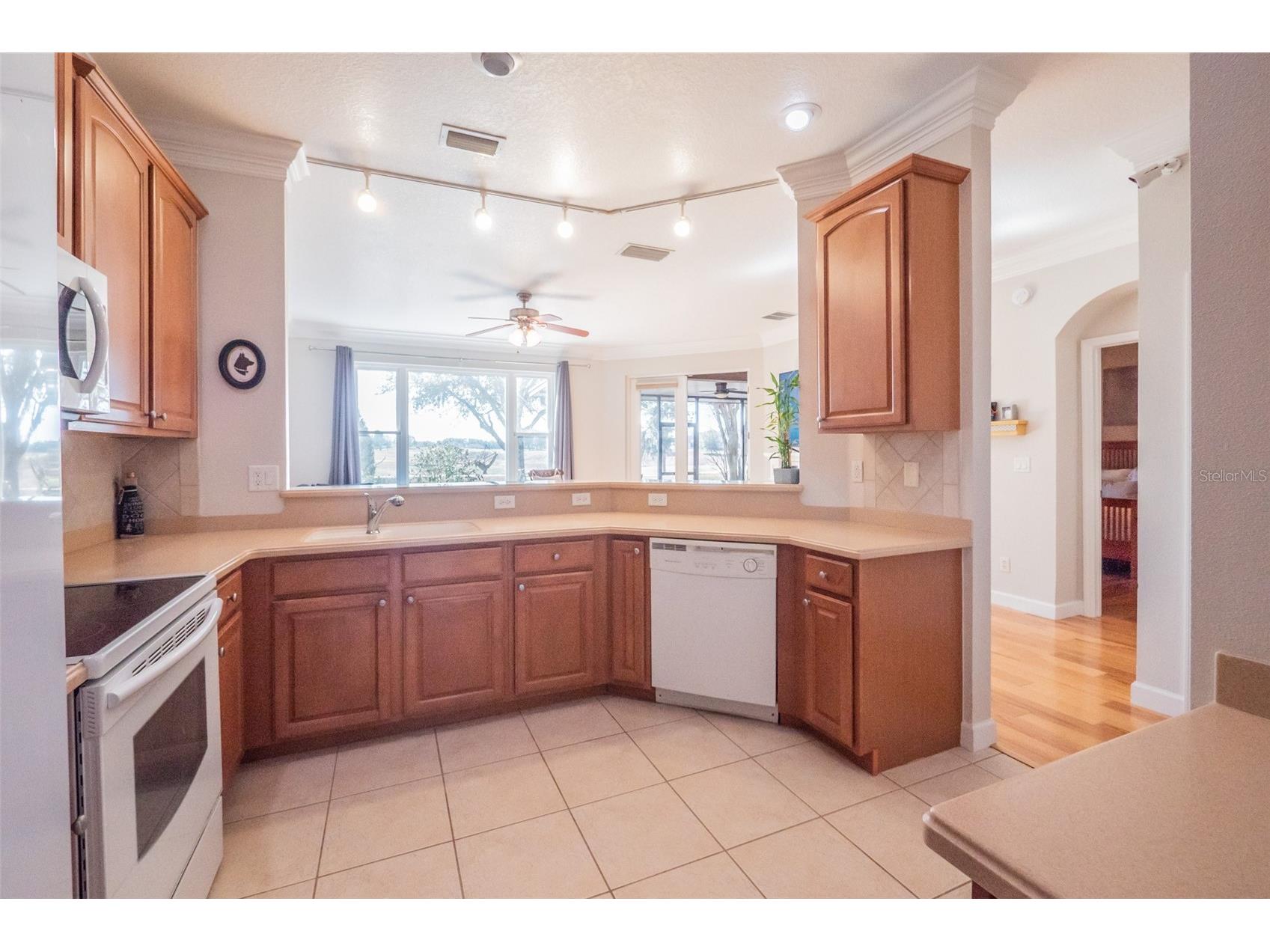 34442 Tuscany Avenue Sorrento FL 32776 O6376068 image16