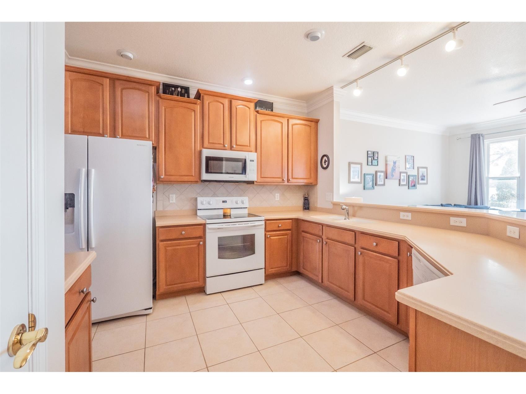 34442 Tuscany Avenue Sorrento FL 32776 O6376068 image17