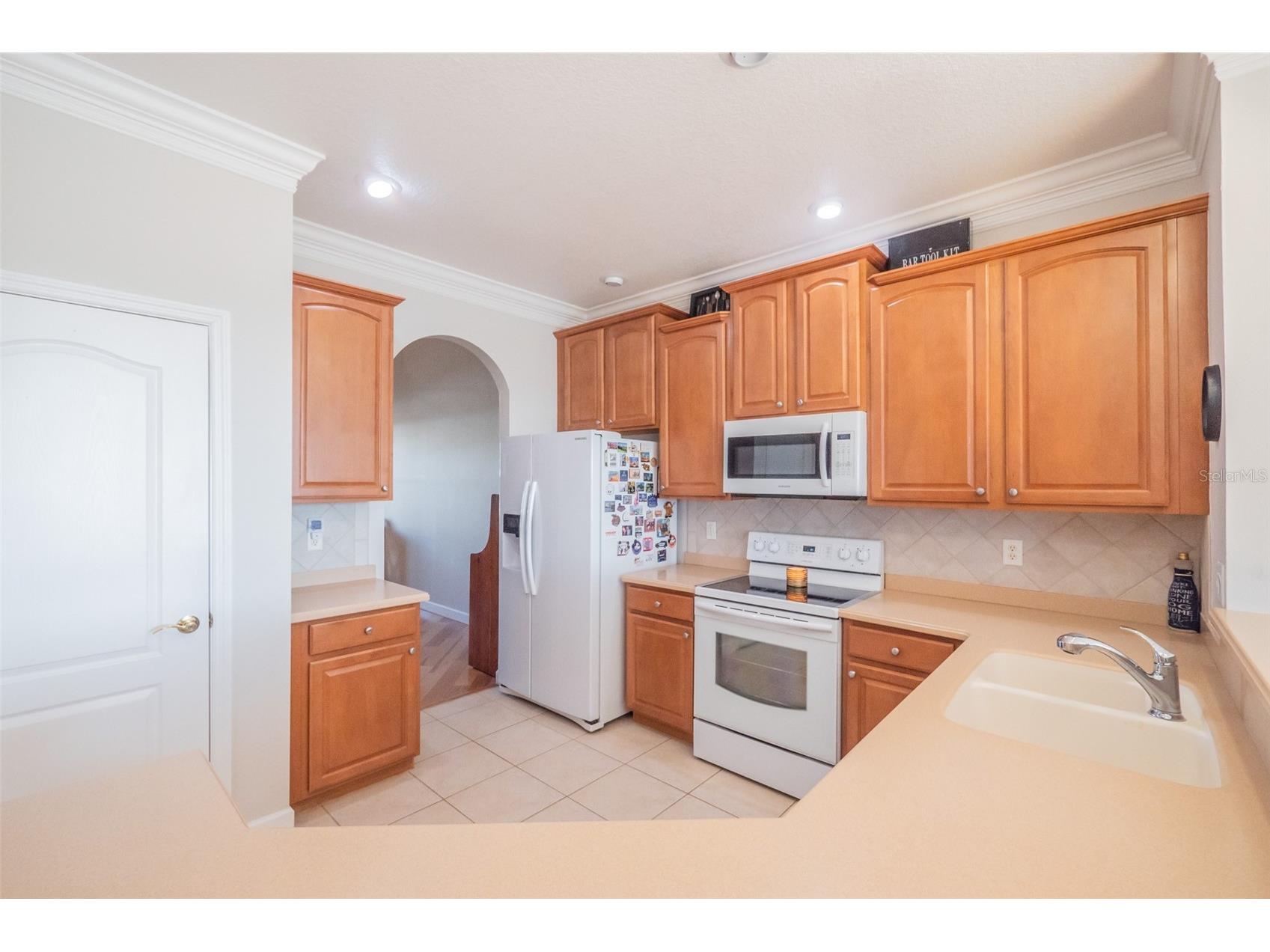 34442 Tuscany Avenue Sorrento FL 32776 O6376068 image18