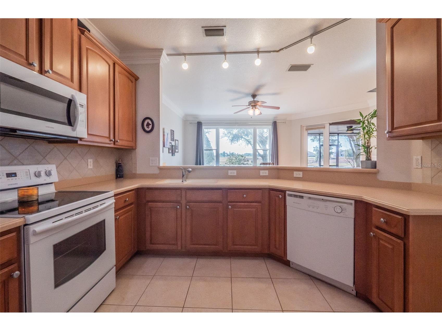 34442 Tuscany Avenue Sorrento FL 32776 O6376068 image19