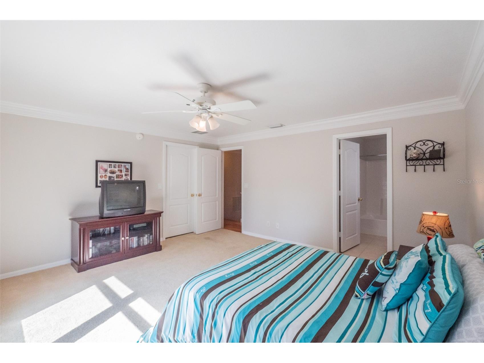 34442 Tuscany Avenue Sorrento FL 32776 O6376068 image42