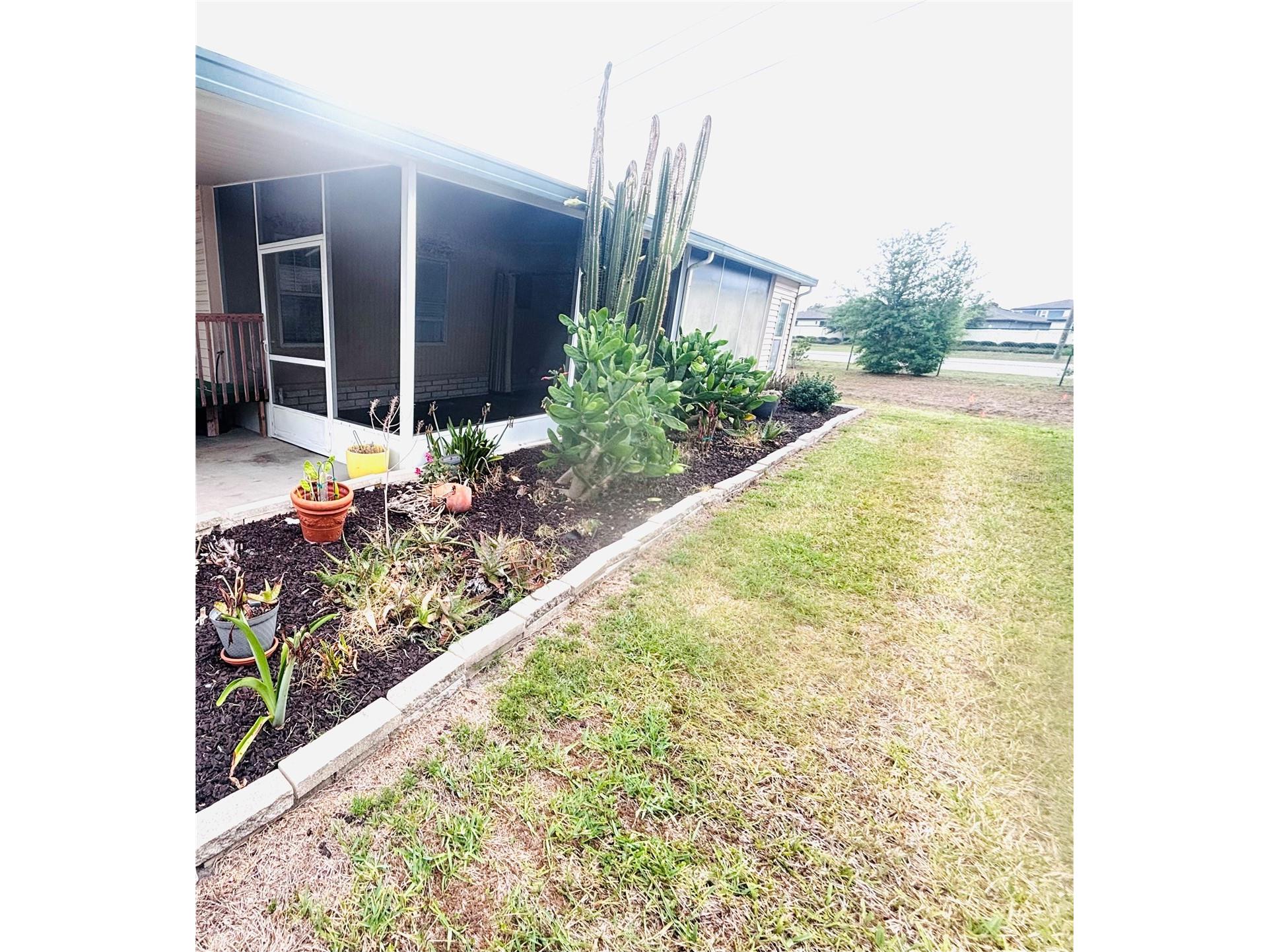 34445 Countryside Drive Wesley Chapel FL 33543 TB8508406 image29
