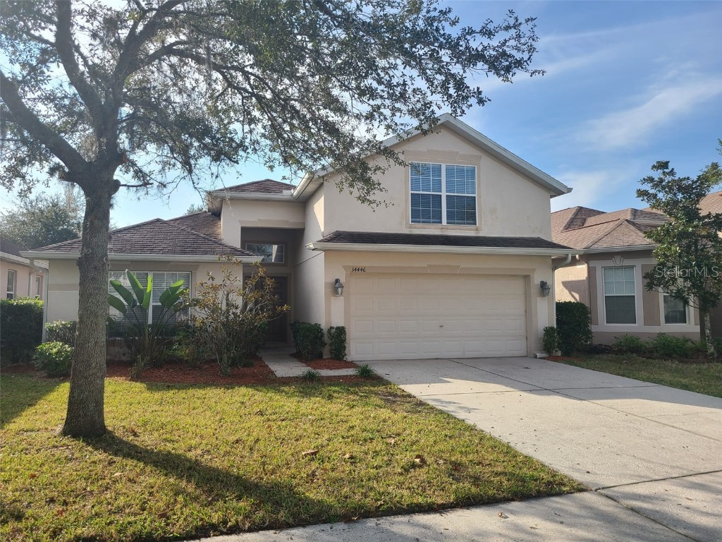 34446 Windknob Court Wesley Chapel FL 33545 U8146035 image1