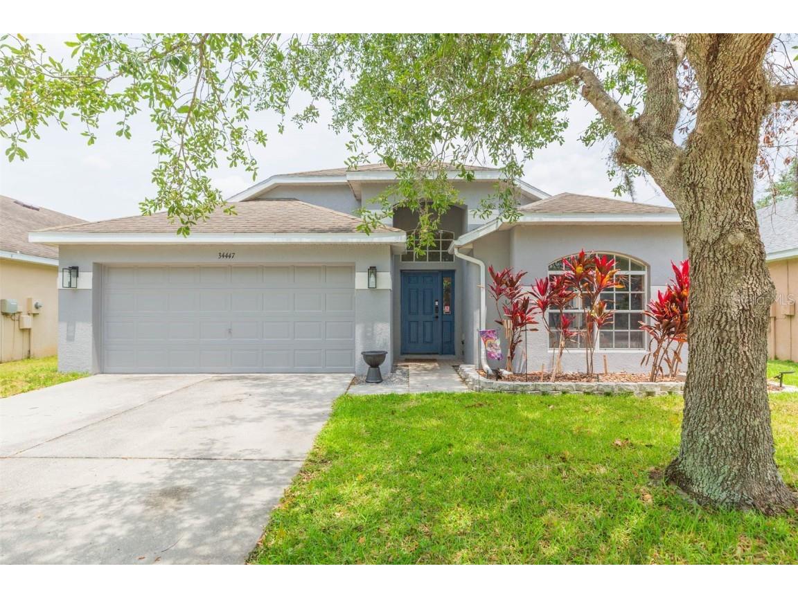 34447 Blue Ash Court Wesley Chapel FL 33545 TB8383914 image1
