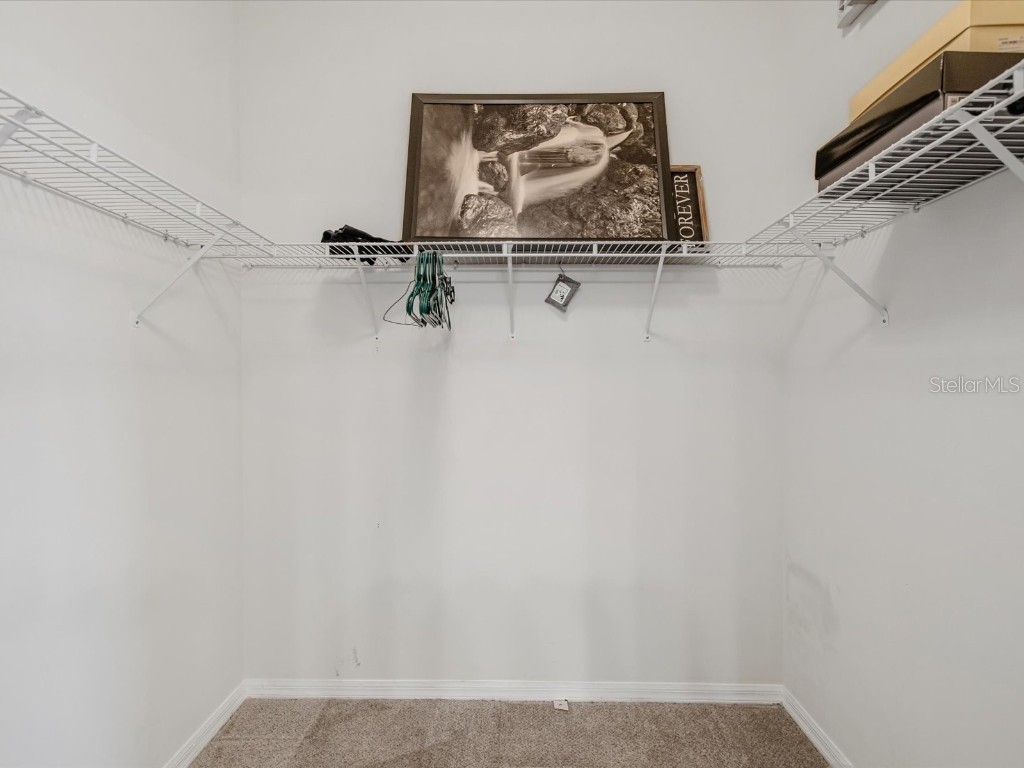 34447 Windknob Court Wesley Chapel FL 33545 W7881178 image37