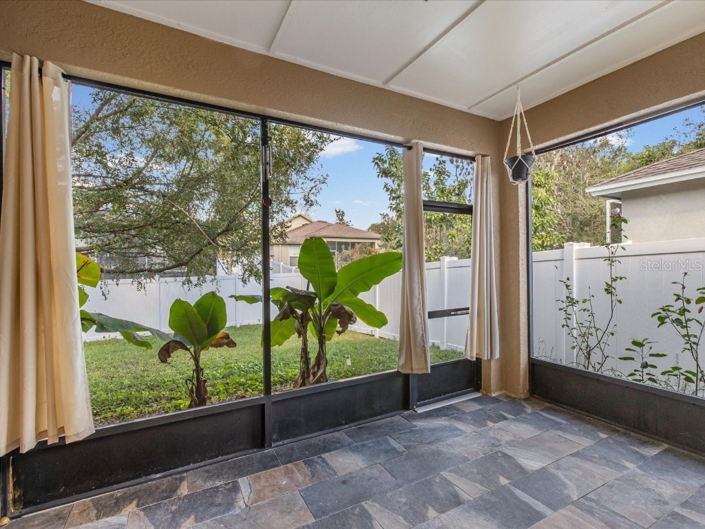 34447 Windknob Court Wesley Chapel FL 33545 W7881178 image39