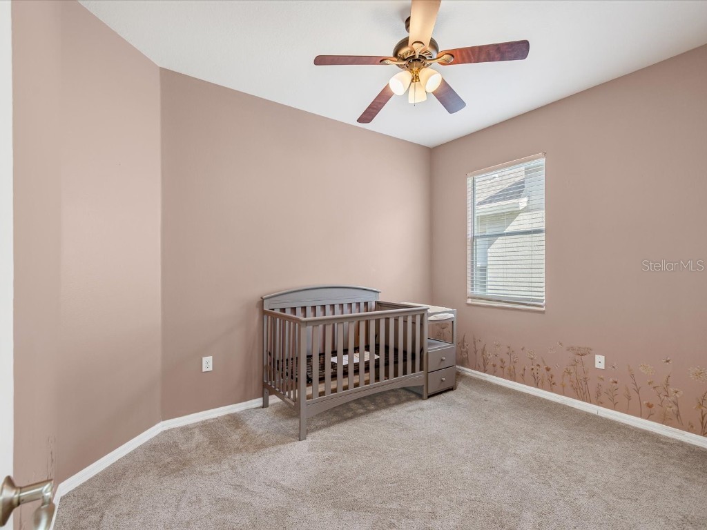 34447 Windknob Court Wesley Chapel FL 33545 W7881178 image4