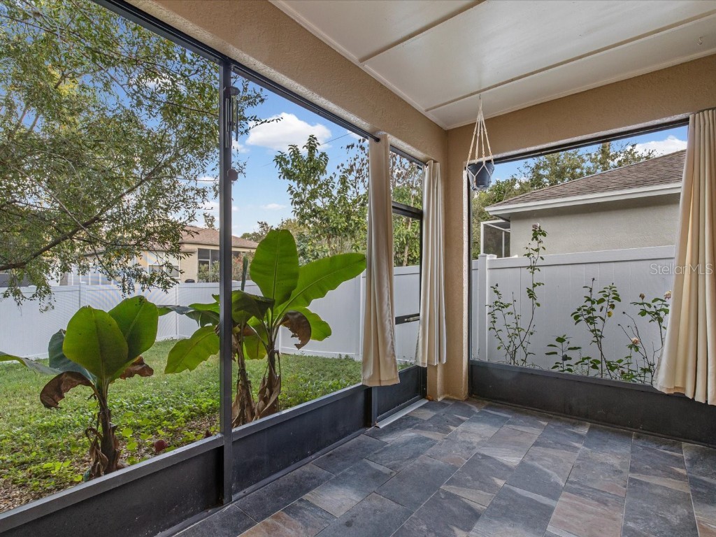 34447 Windknob Court Wesley Chapel FL 33545 W7881178 image40