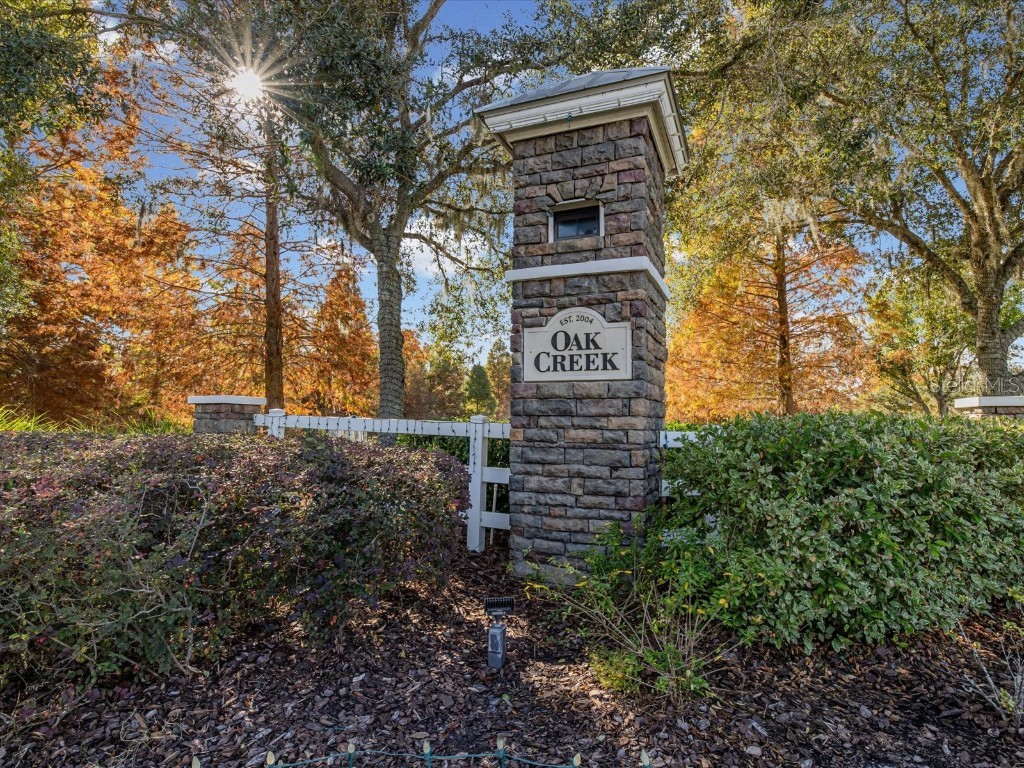 34447 Windknob Court Wesley Chapel FL 33545 W7881178 image44