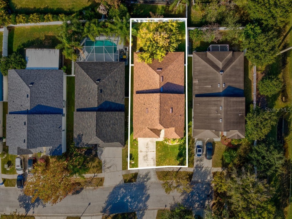 34447 Windknob Court Wesley Chapel FL 33545 W7881178 image47