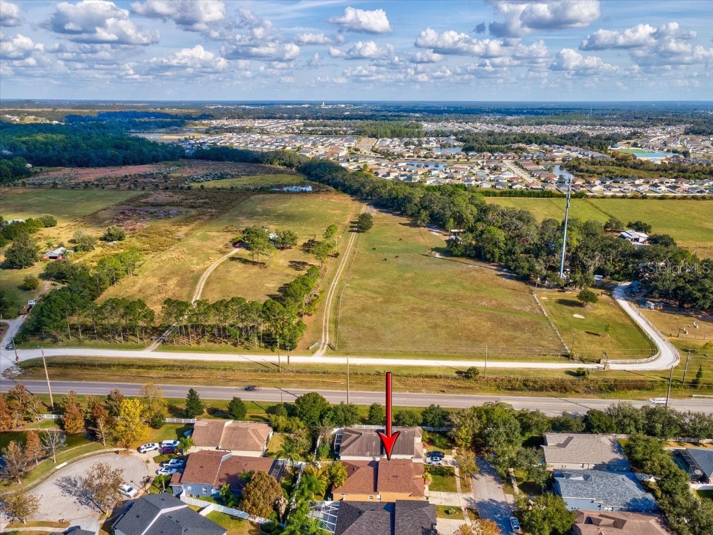 34447 Windknob Court Wesley Chapel FL 33545 W7881178 image50