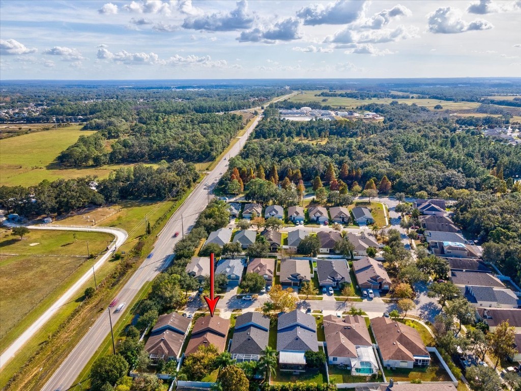 34447 Windknob Court Wesley Chapel FL 33545 W7881178 image51