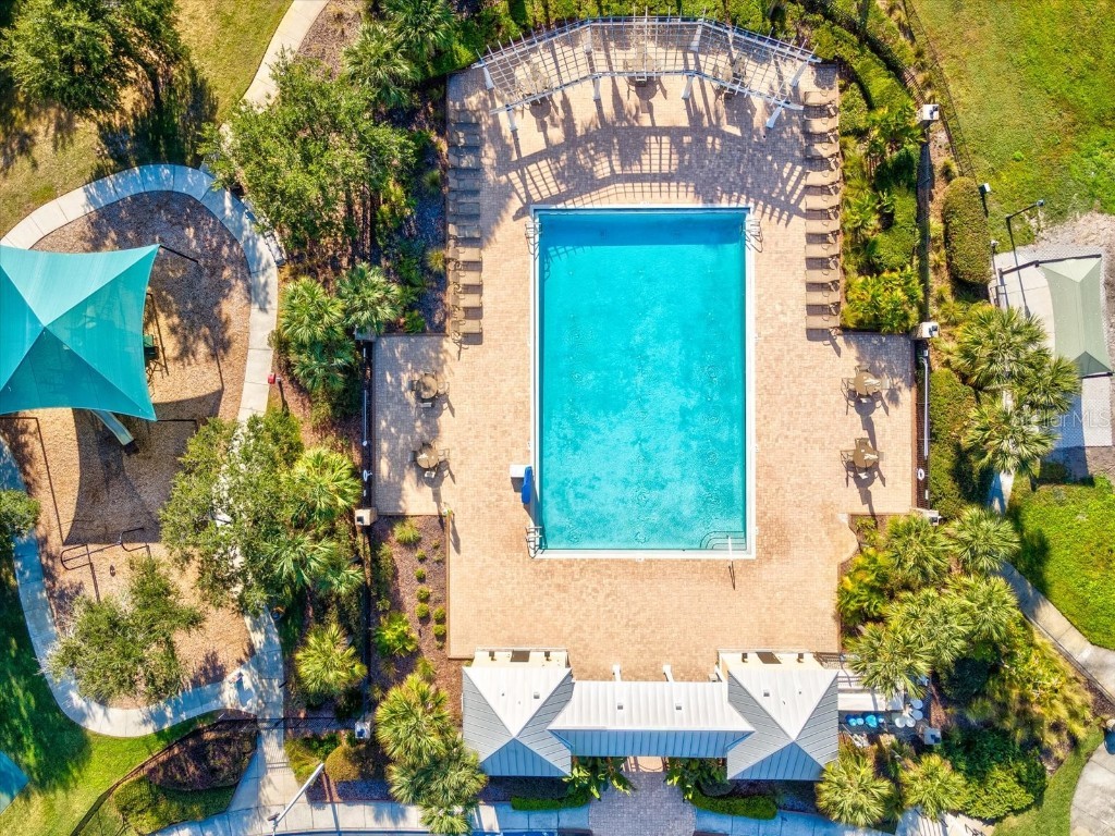 34447 Windknob Court Wesley Chapel FL 33545 W7881178 image54