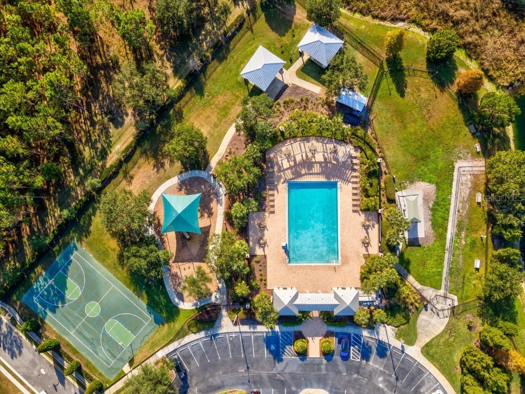 34447 Windknob Court Wesley Chapel FL 33545 W7881178 image55