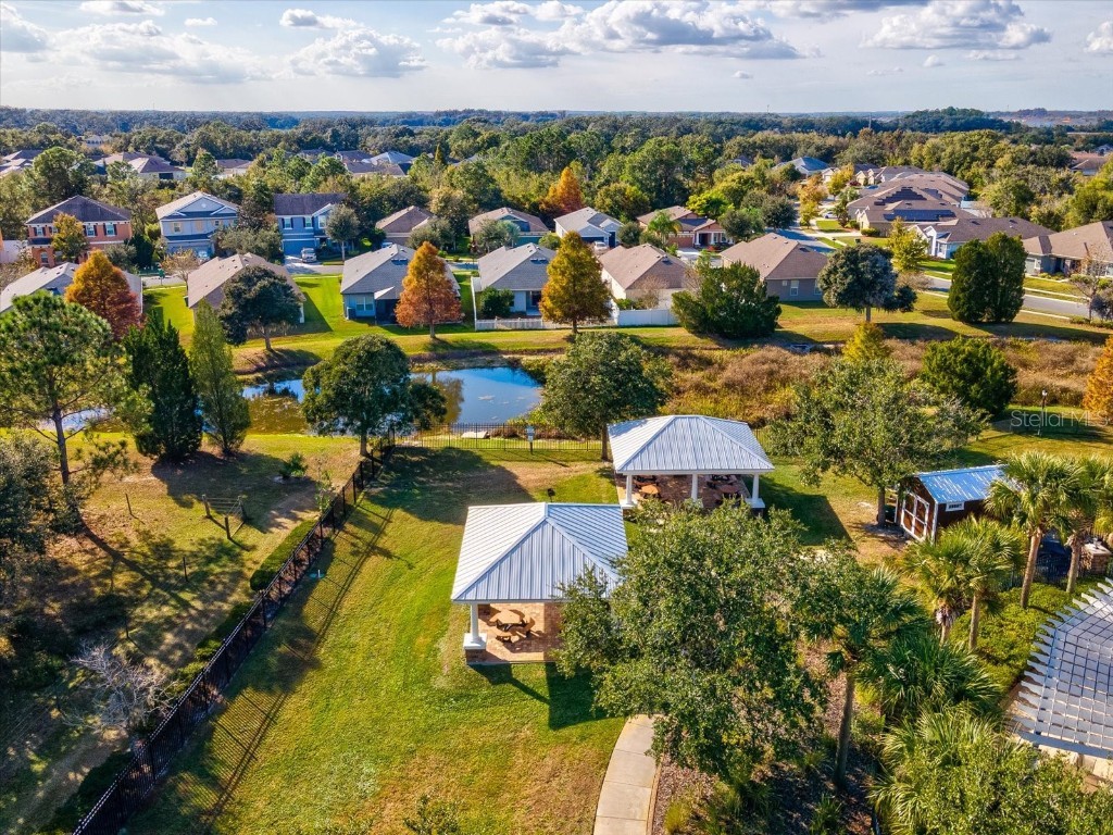 34447 Windknob Court Wesley Chapel FL 33545 W7881178 image57