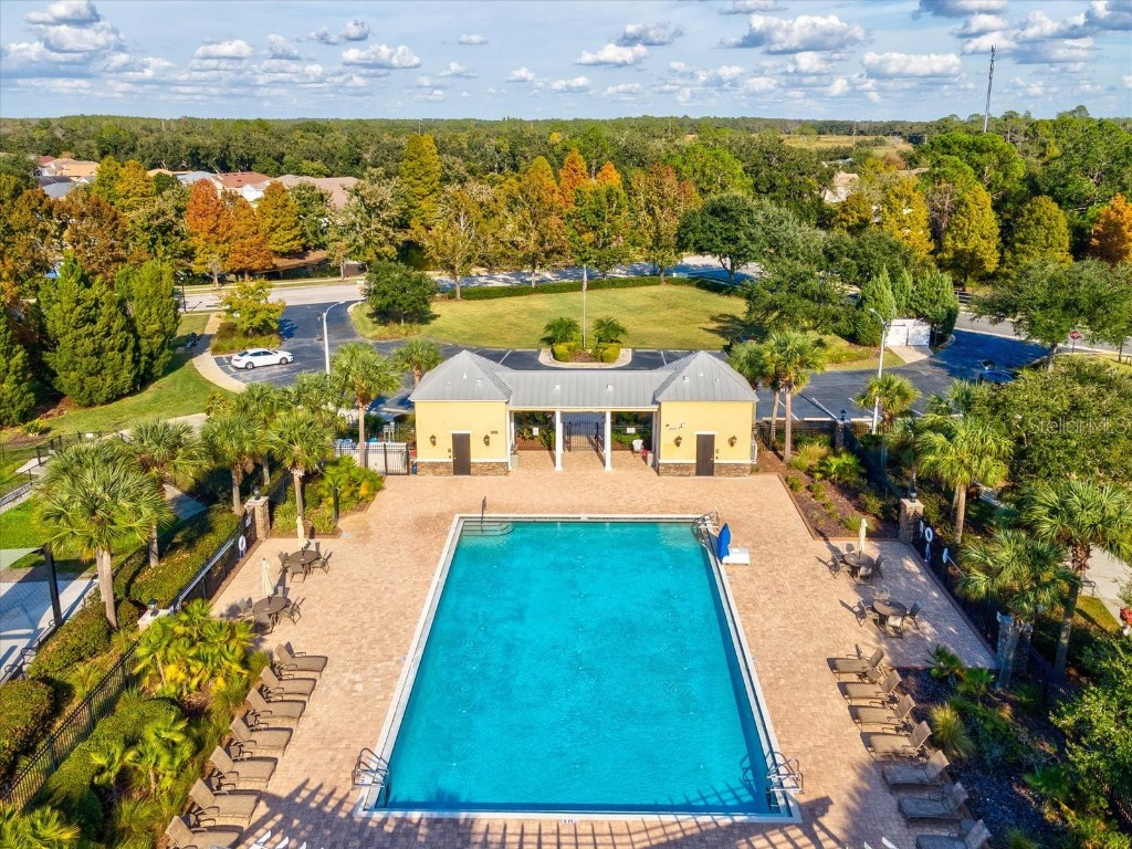 34447 Windknob Court Wesley Chapel FL 33545 W7881178 image58