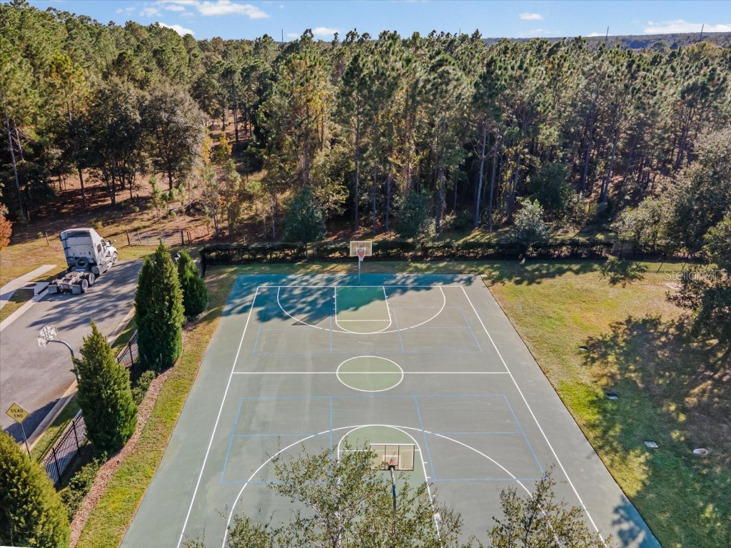 34447 Windknob Court Wesley Chapel FL 33545 W7881178 image66