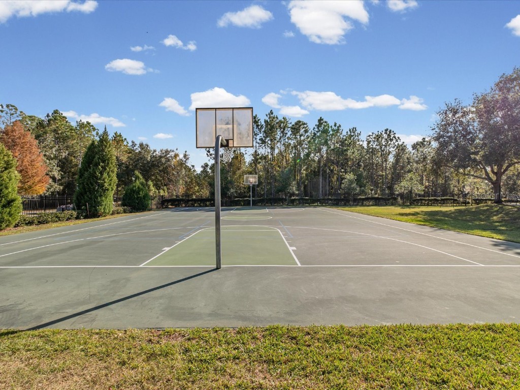 34447 Windknob Court Wesley Chapel FL 33545 W7881178 image68