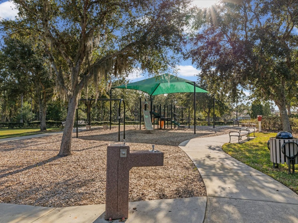 34447 Windknob Court Wesley Chapel FL 33545 W7881178 image69