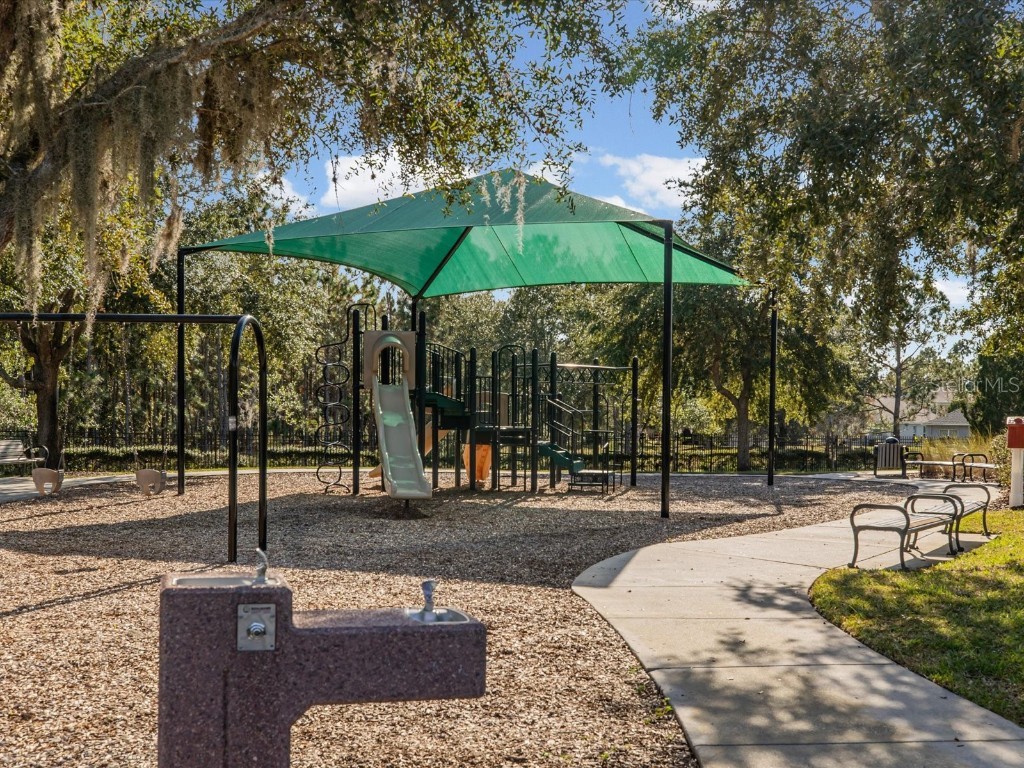 34447 Windknob Court Wesley Chapel FL 33545 W7881178 image70