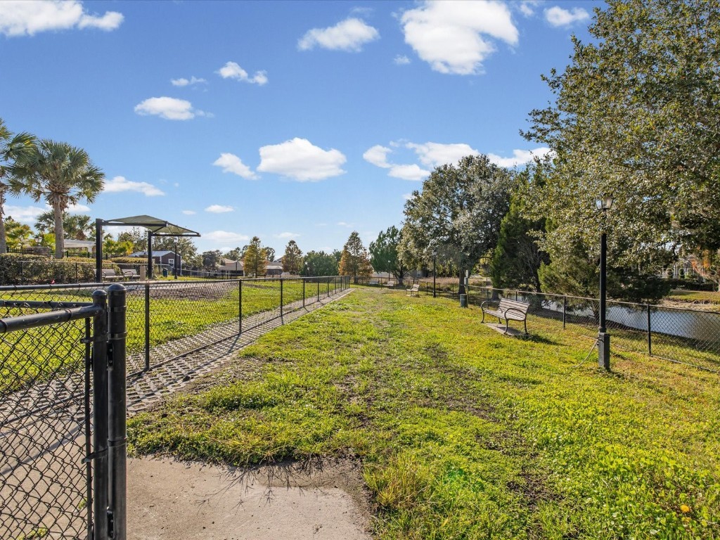 34447 Windknob Court Wesley Chapel FL 33545 W7881178 image72