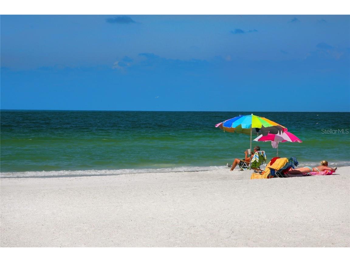 3445 Highlands Bridge Road Sarasota FL 34235 A4640423 image44