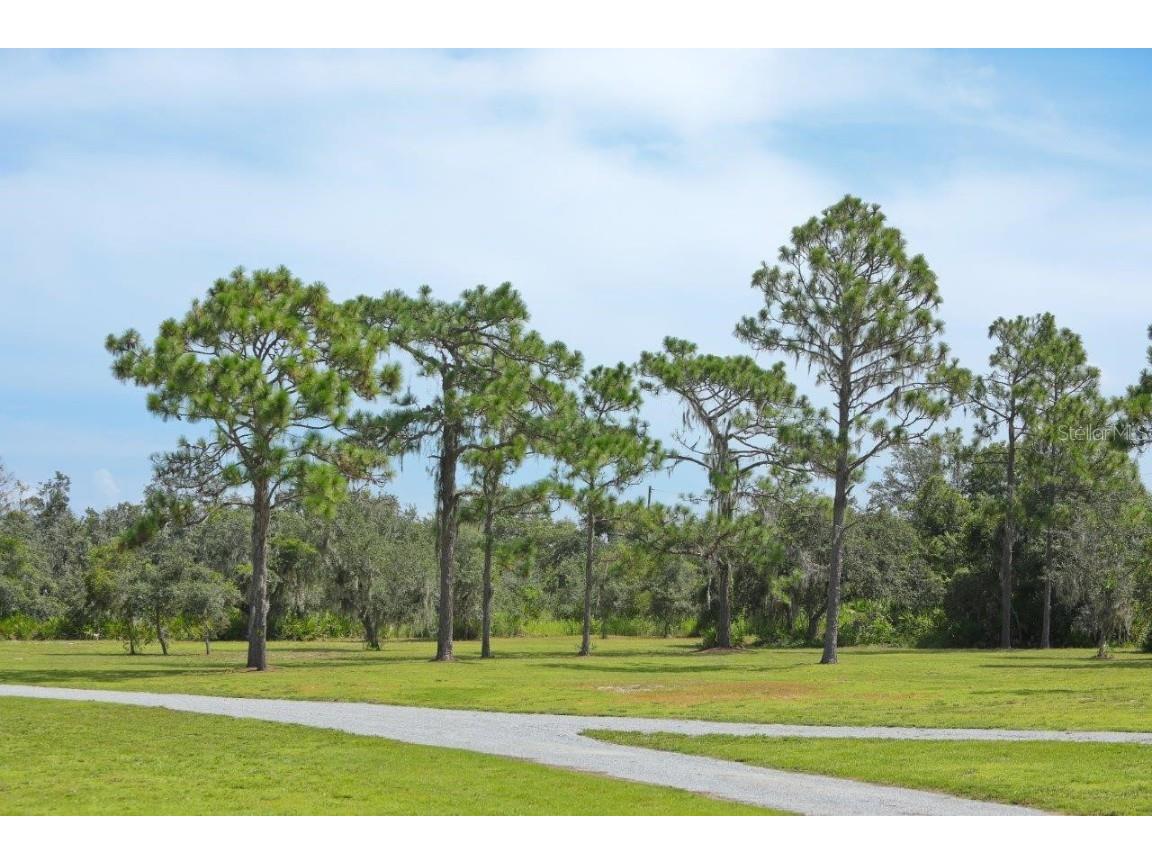 34452 Singletary Rd Myakka City FL 34251 A4599145 image13