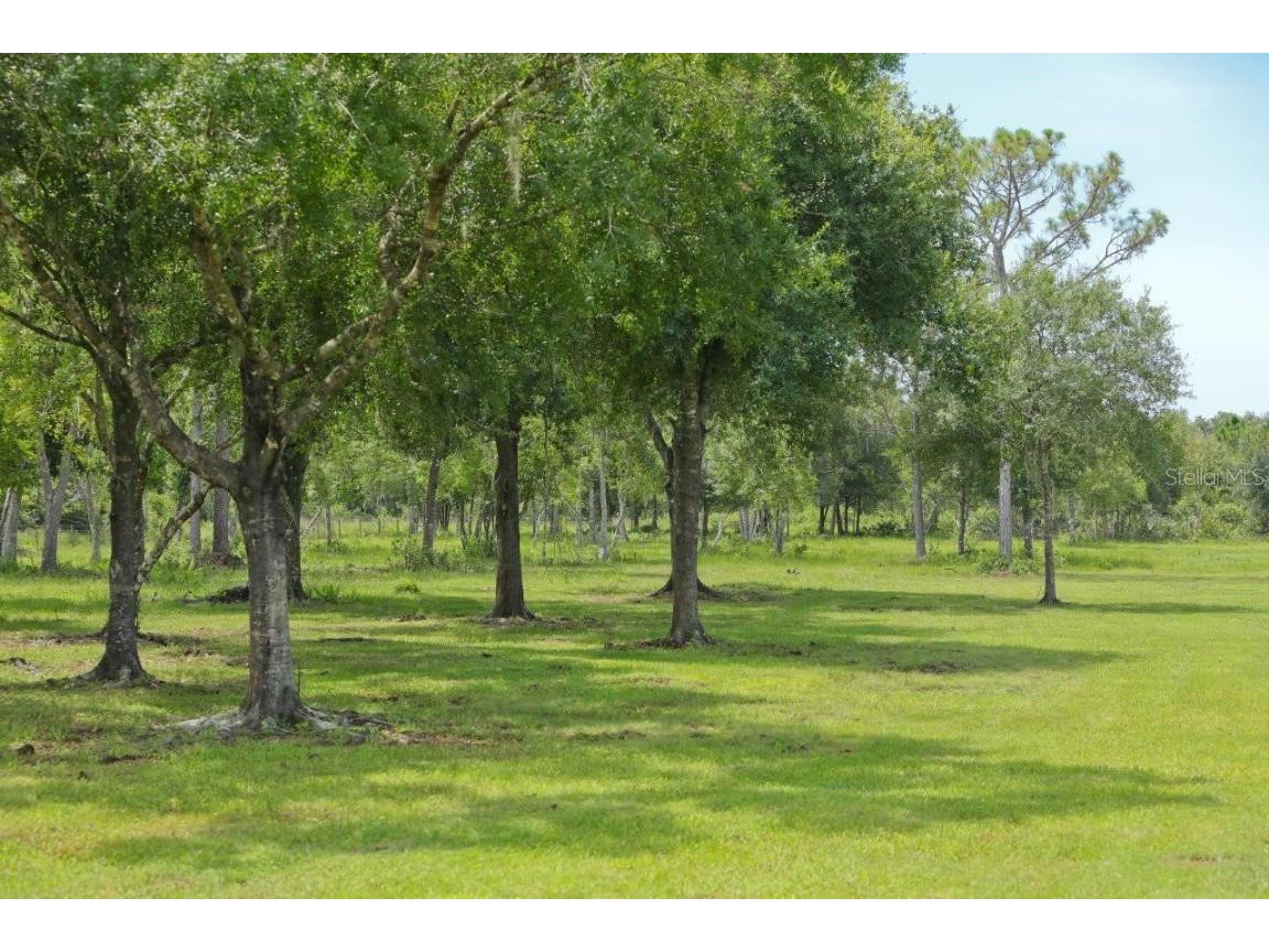 34452 Singletary Rd Myakka City FL 34251 A4599145 image14