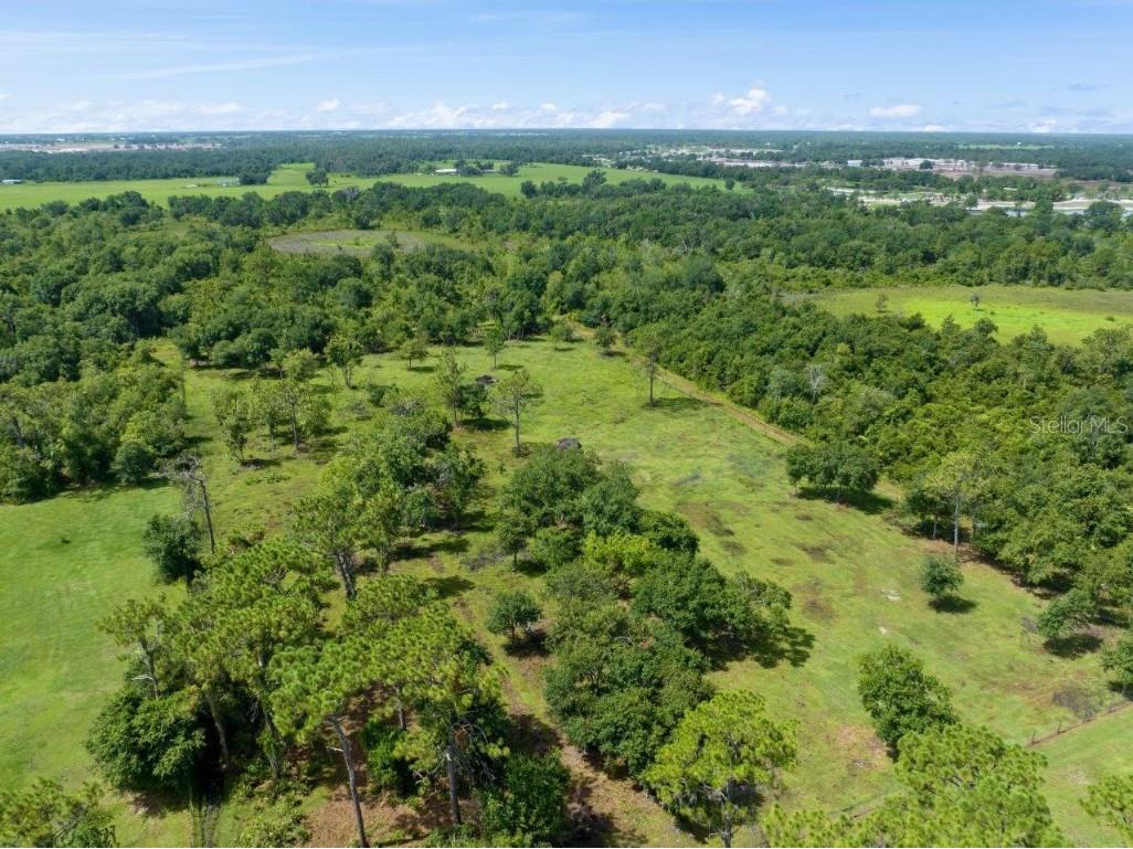 34452 Singletary Rd Myakka City FL 34251 A4599145 image18