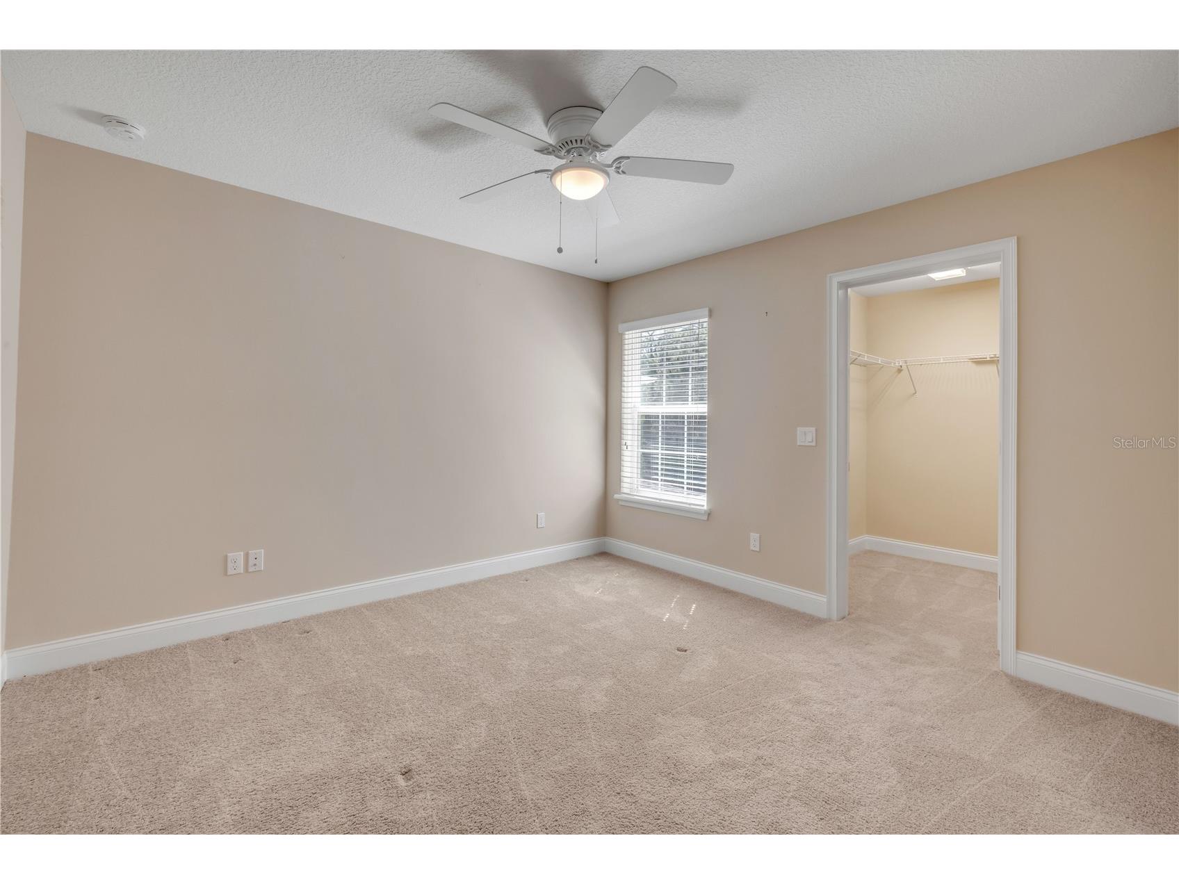 3446 Medici Boulevard New Smyrna Beach FL 32168 V4947795 image37