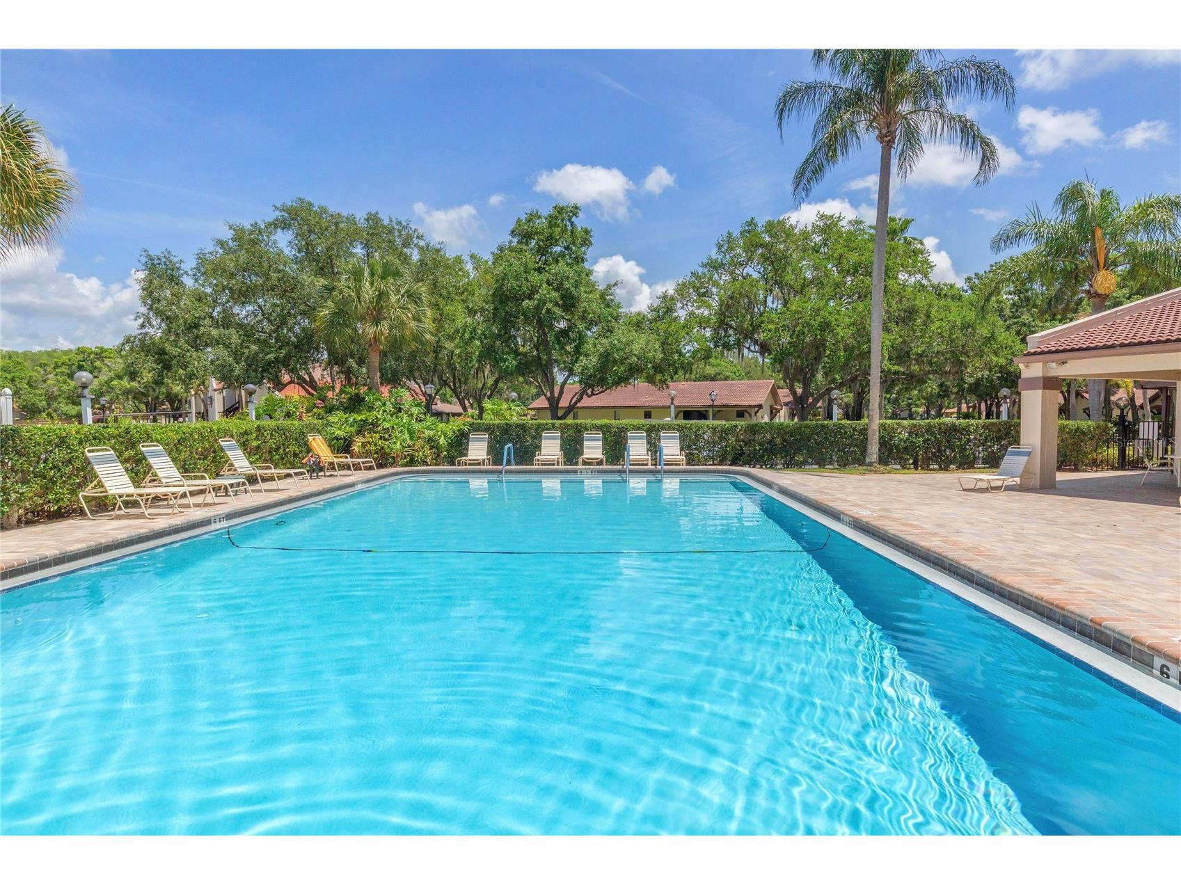 3446 Tarpon Woods Boulevard Palm Harbor FL 34685 TB8507253 image33