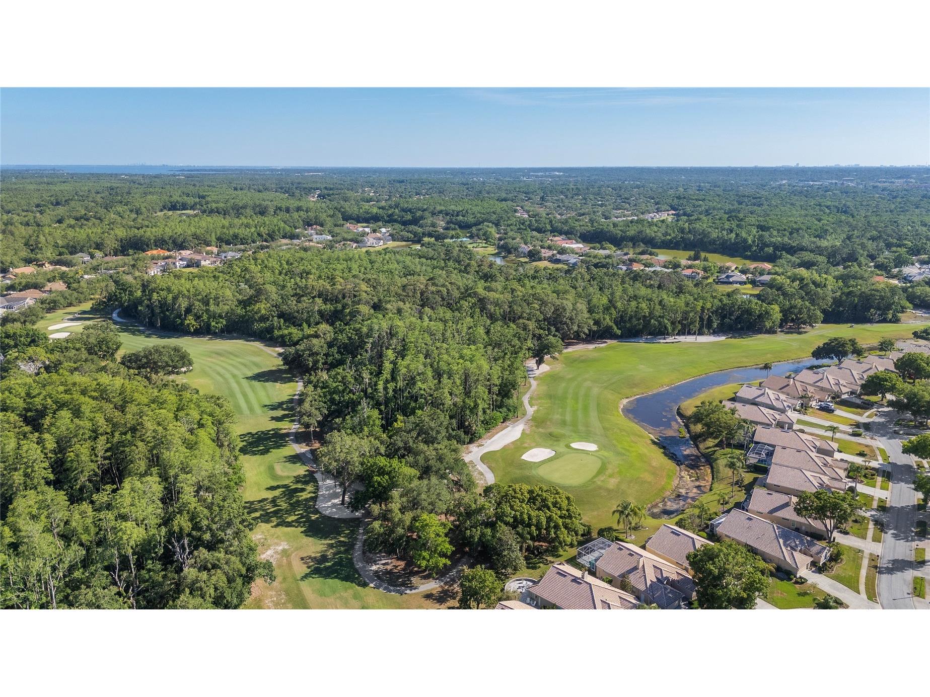 3446 Tarpon Woods Boulevard Palm Harbor FL 34685 TB8507253 image35