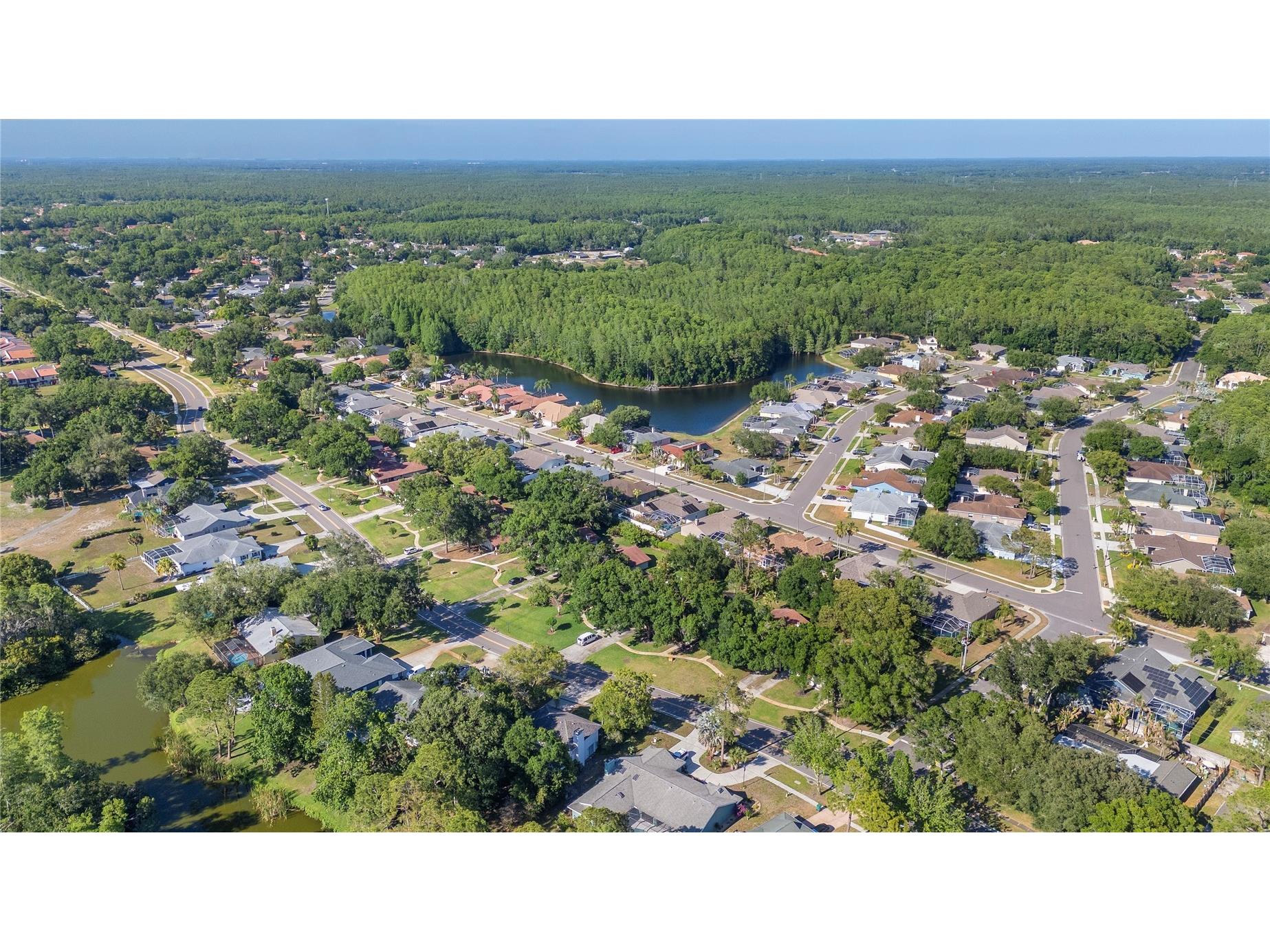 3446 Tarpon Woods Boulevard Palm Harbor FL 34685 TB8507253 image36