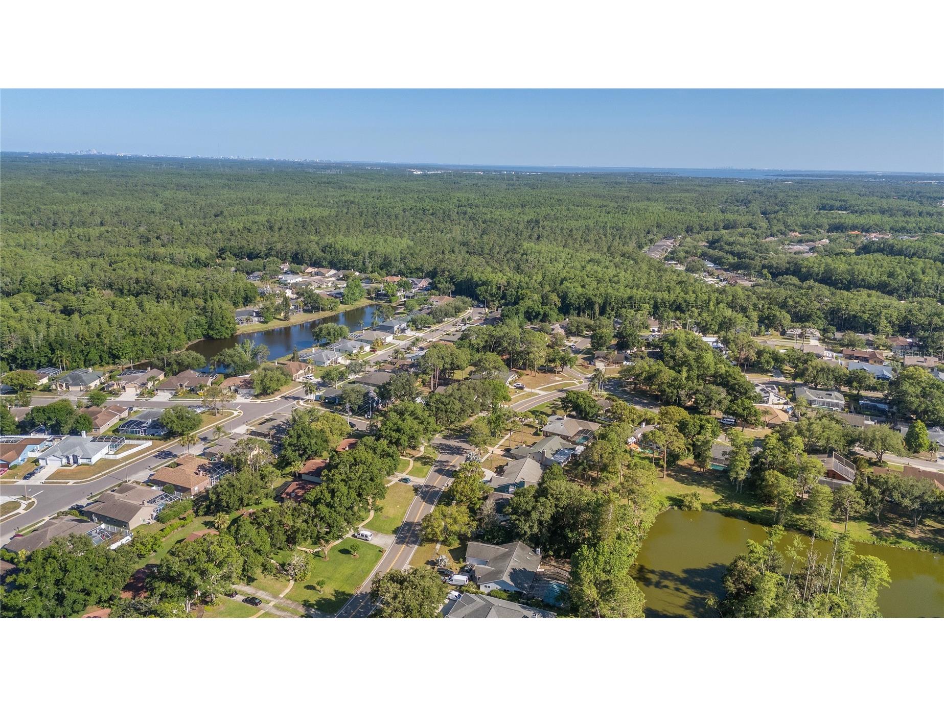 3446 Tarpon Woods Boulevard Palm Harbor FL 34685 TB8507253 image37