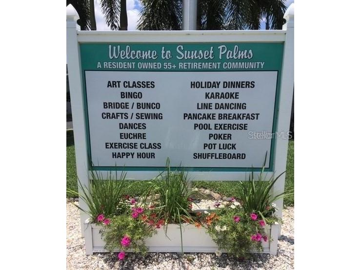 34462 Palm Drive N Pinellas Park FL 33781 TB8450266 image26