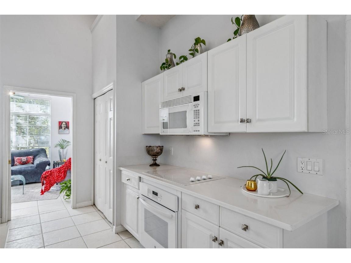 3447 Amaca Circle Orlando FL 32837 S5137521 image11