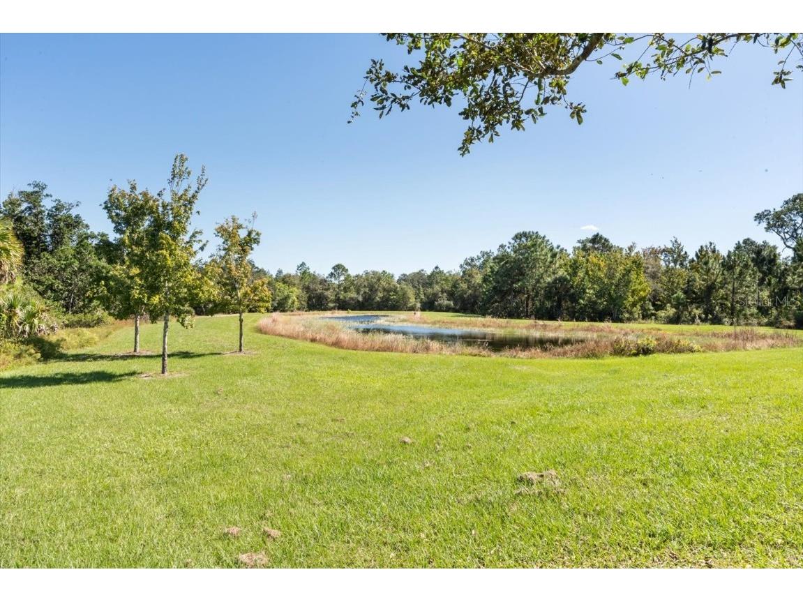 3447 Feathergrass Court Harmony FL 34773 O6356968 image33