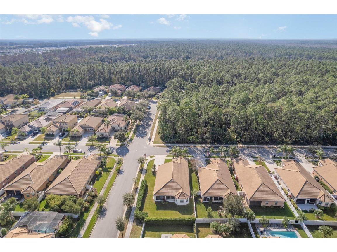 3447 Luna Bella Lane New Smyrna Beach FL 32168 O6366185 image45