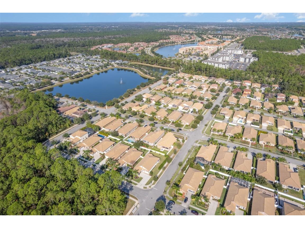 3447 Luna Bella Lane New Smyrna Beach FL 32168 O6366185 image47