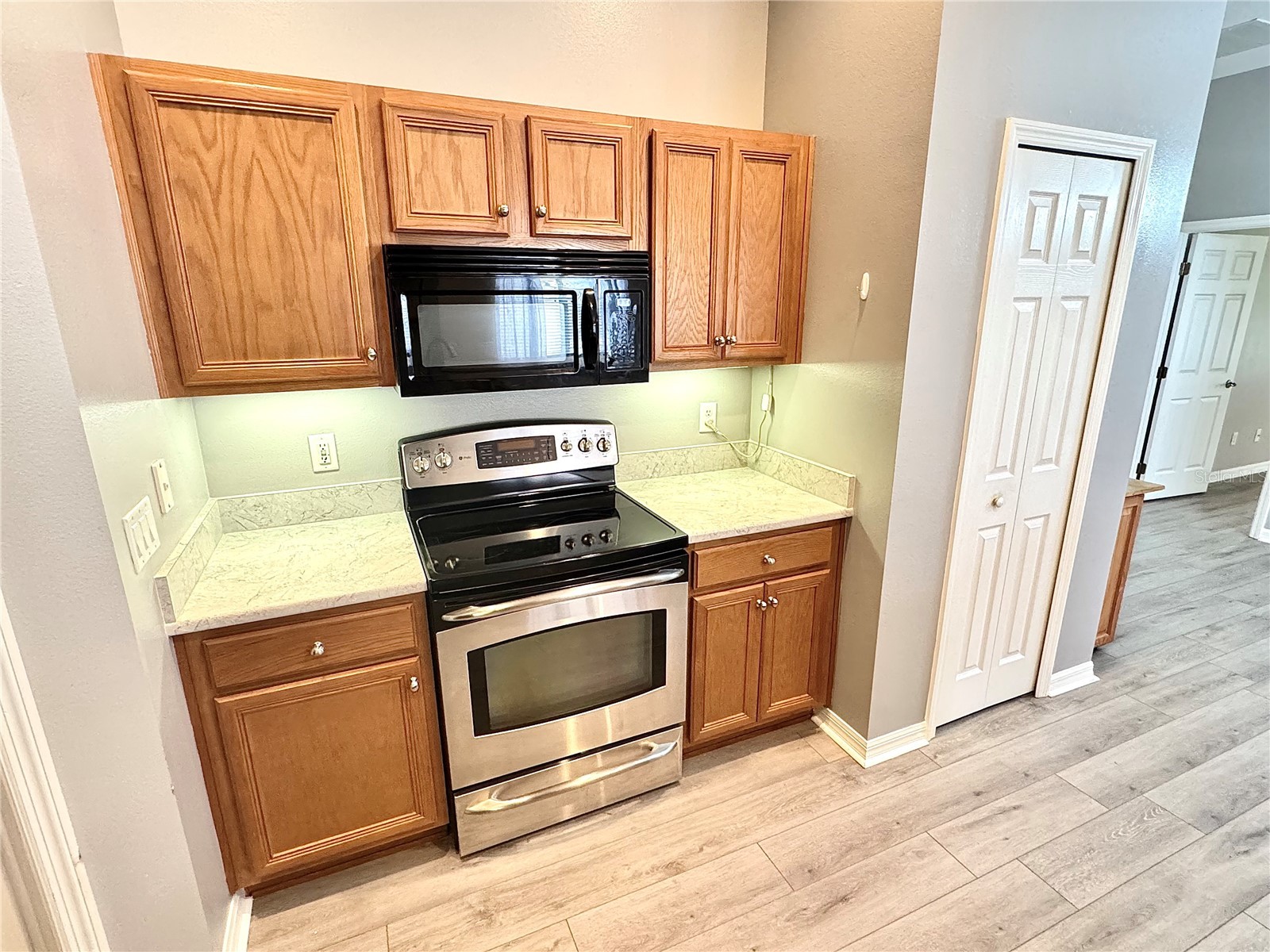 3447 Mount Hope Loop Leesburg FL 34748 G5114786 image14
