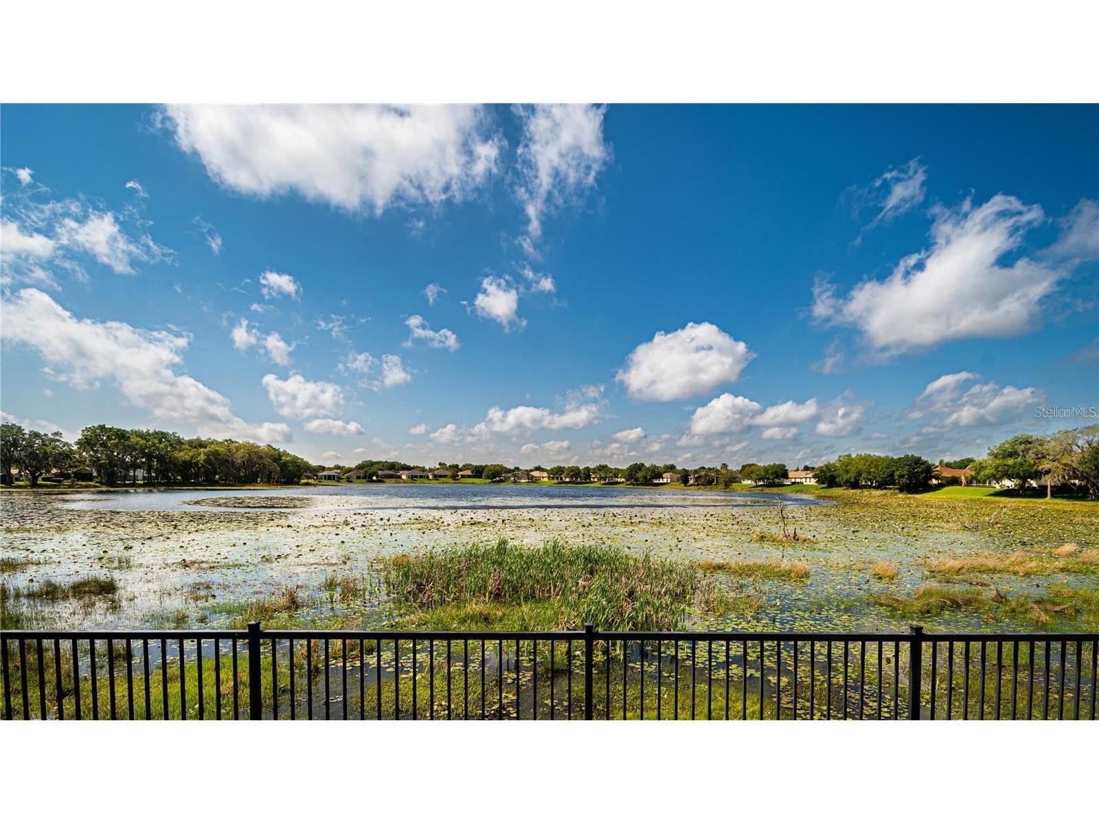 3447 Mount Hope Loop Leesburg FL 34748 G5114786 image36