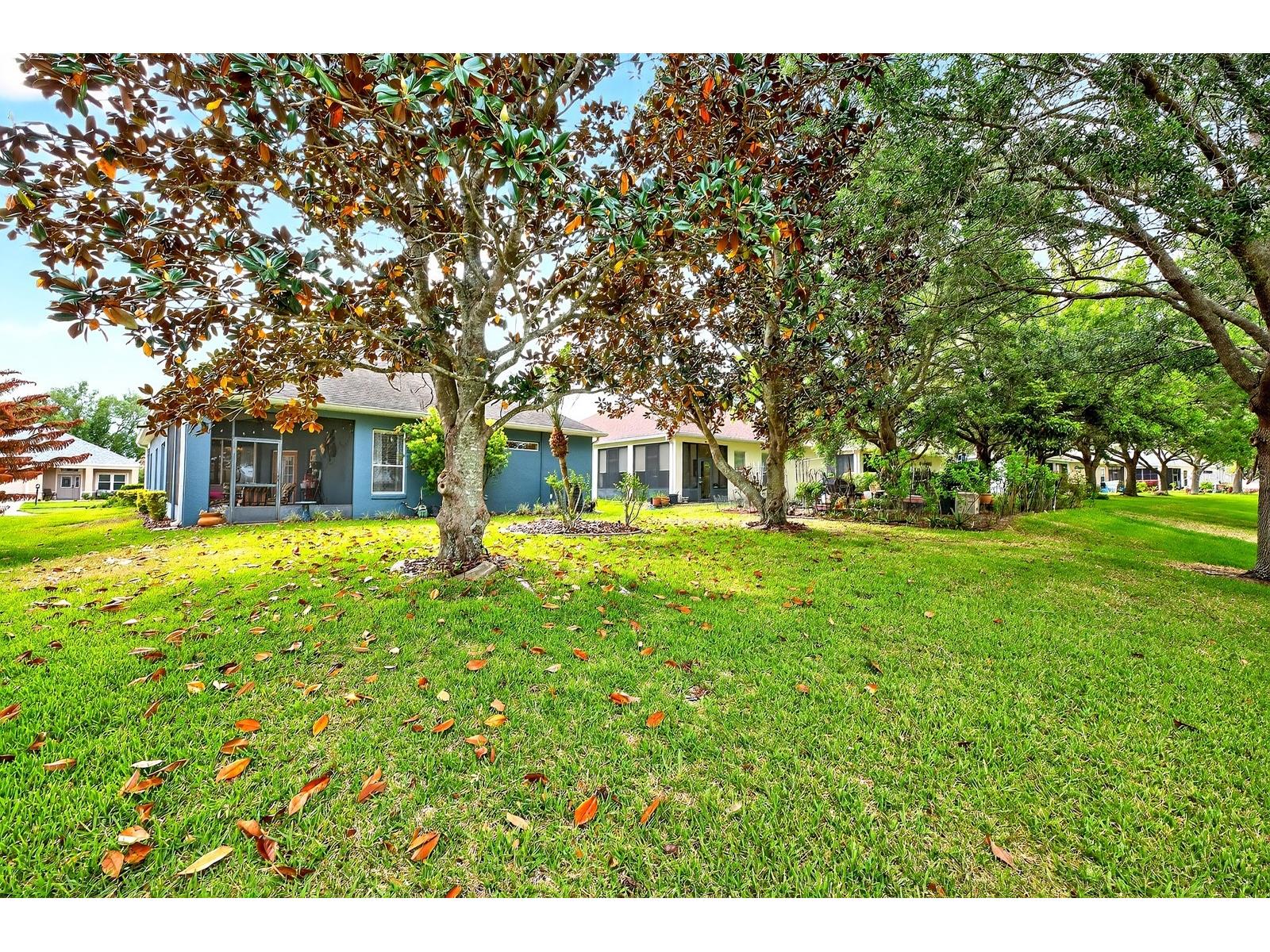 3447 Mount Hope Loop Leesburg FL 34748 O6389173 image20