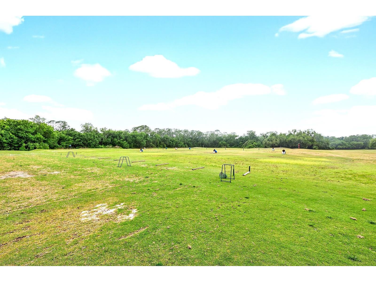 3447 Mount Hope Loop Leesburg FL 34748 O6389173 image40