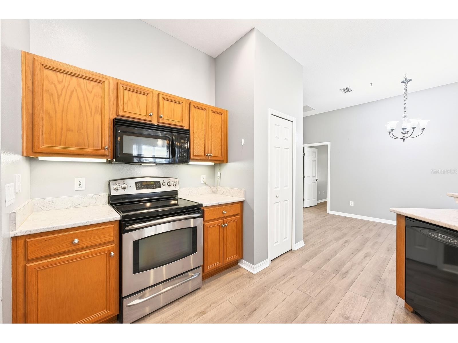 3447 Mount Hope Loop Leesburg FL 34748 O6389173 image6