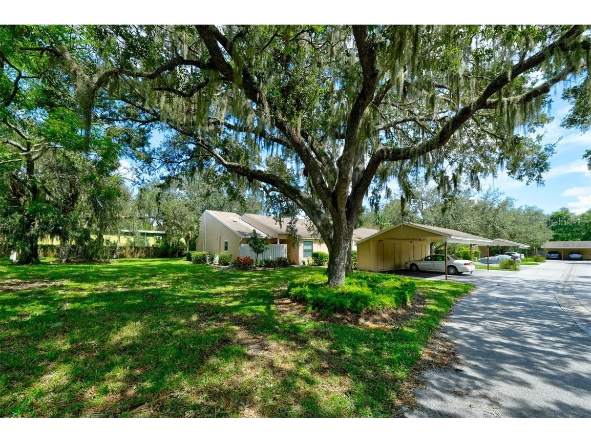 3447 Tallywood Lane #7143 Sarasota FL 34237 A4663826 image5