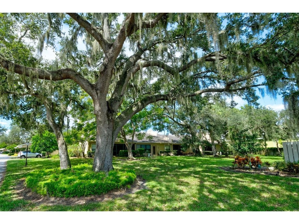 3447 Tallywood Lane #7143 Sarasota FL 34237 A4663826 image58